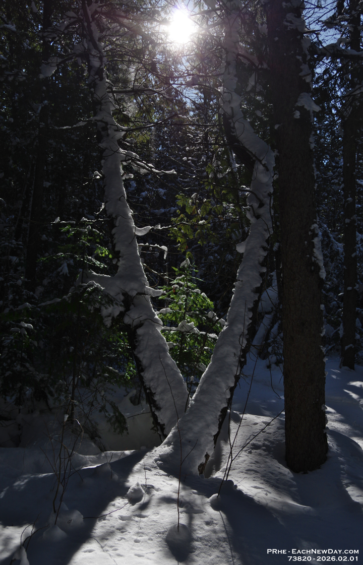 73820CrLe - A lovely Sunday afternoon walk with Beth at the George Langman Sanctuary